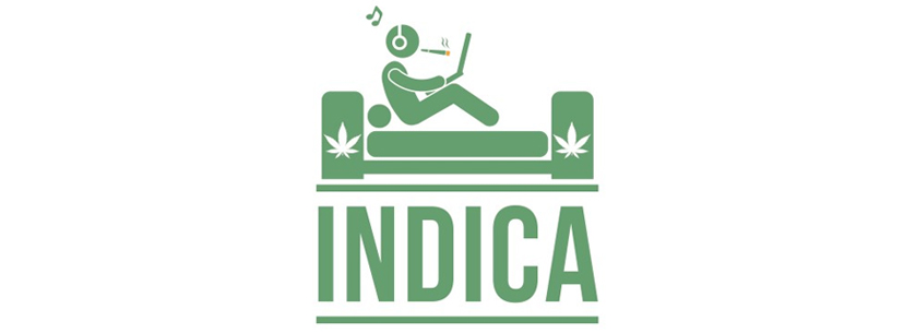 Cannabis indica effects