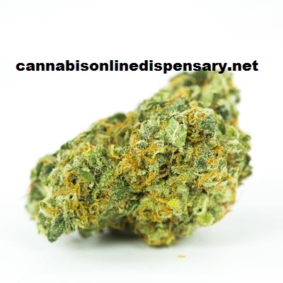 Gorilla Glue #4 Marijuana Strain, buy weed online, online dispensary shipping worldwide, buy marijuana online