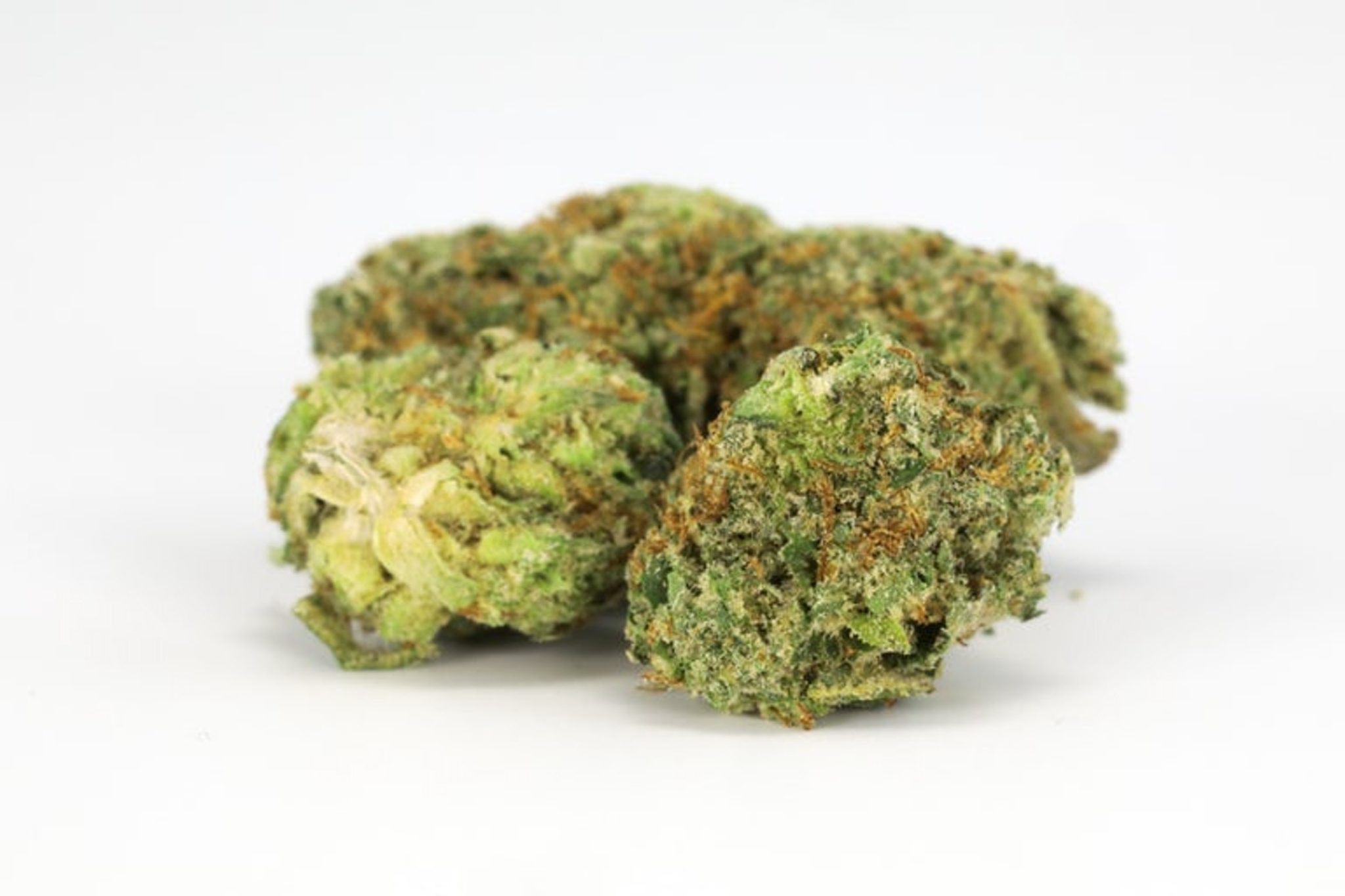 Nova OG Marijuana Strain | buy marijuana online | buy weed online