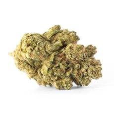 White Dwarf Marijuana Strain