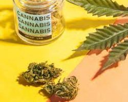 Cannabis-Medicine-cannabis online dispensary